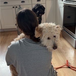 Meet your Posher, Lucy